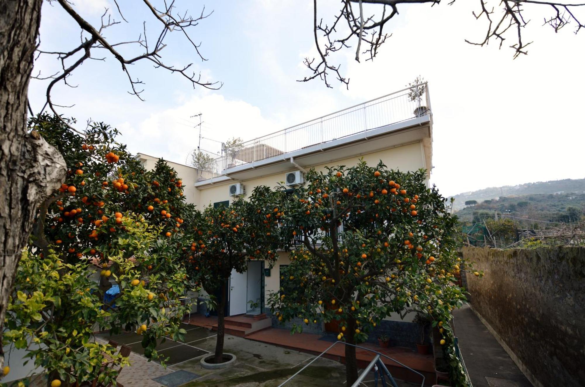 La Terrazza Family Holidays - Sorrento Coast ซานตาเญลโล ภายนอก รูปภาพ