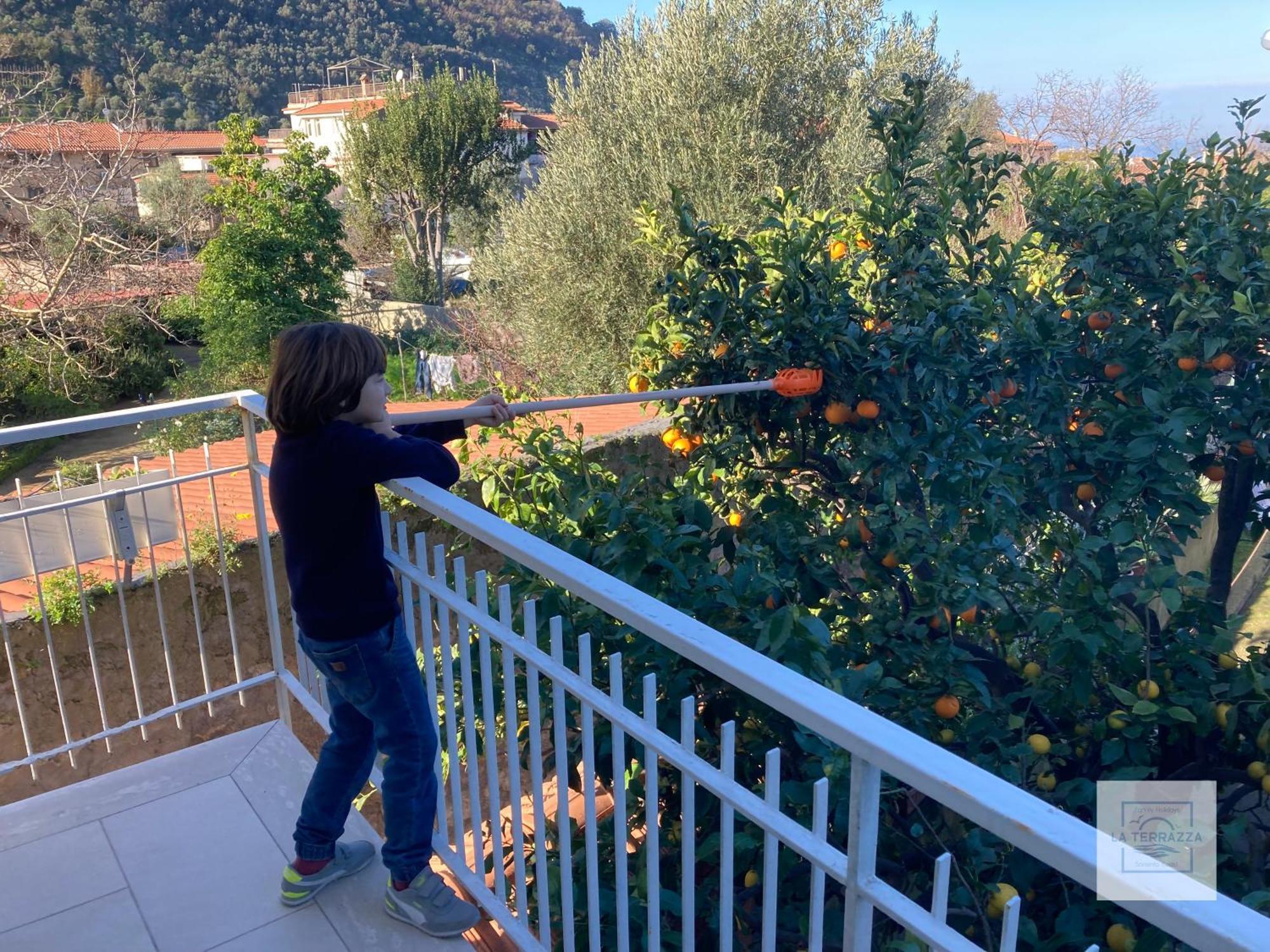 La Terrazza Family Holidays - Sorrento Coast ซานตาเญลโล ภายนอก รูปภาพ